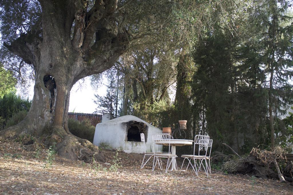 Villas De La Ermita Vejer de la Frontera Eksteriør bilde